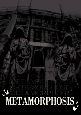 Metamorphosis