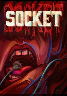 Socket