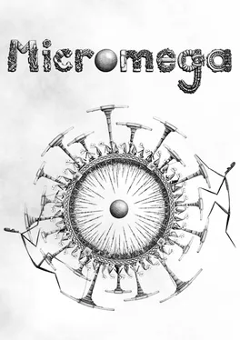 Micromega