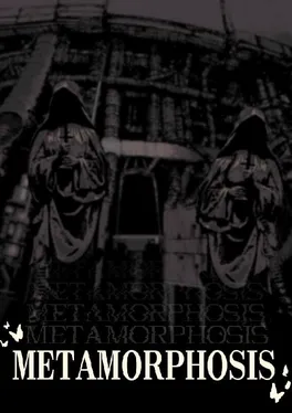 Metamorphosis