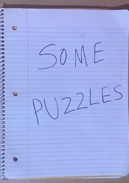 Some Puzzles