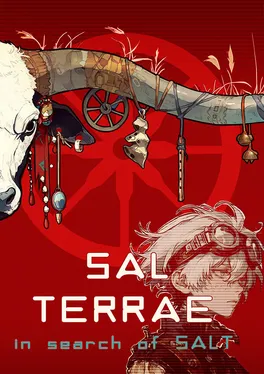 Sal Terrae: in search of SALT