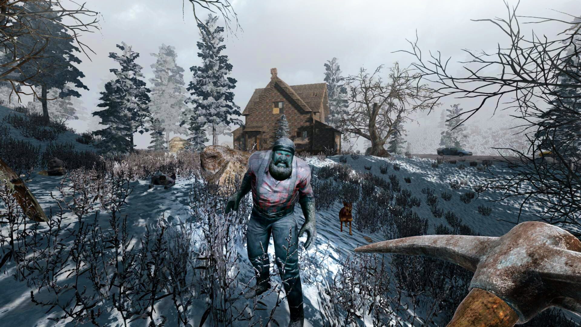 Screenshot 13