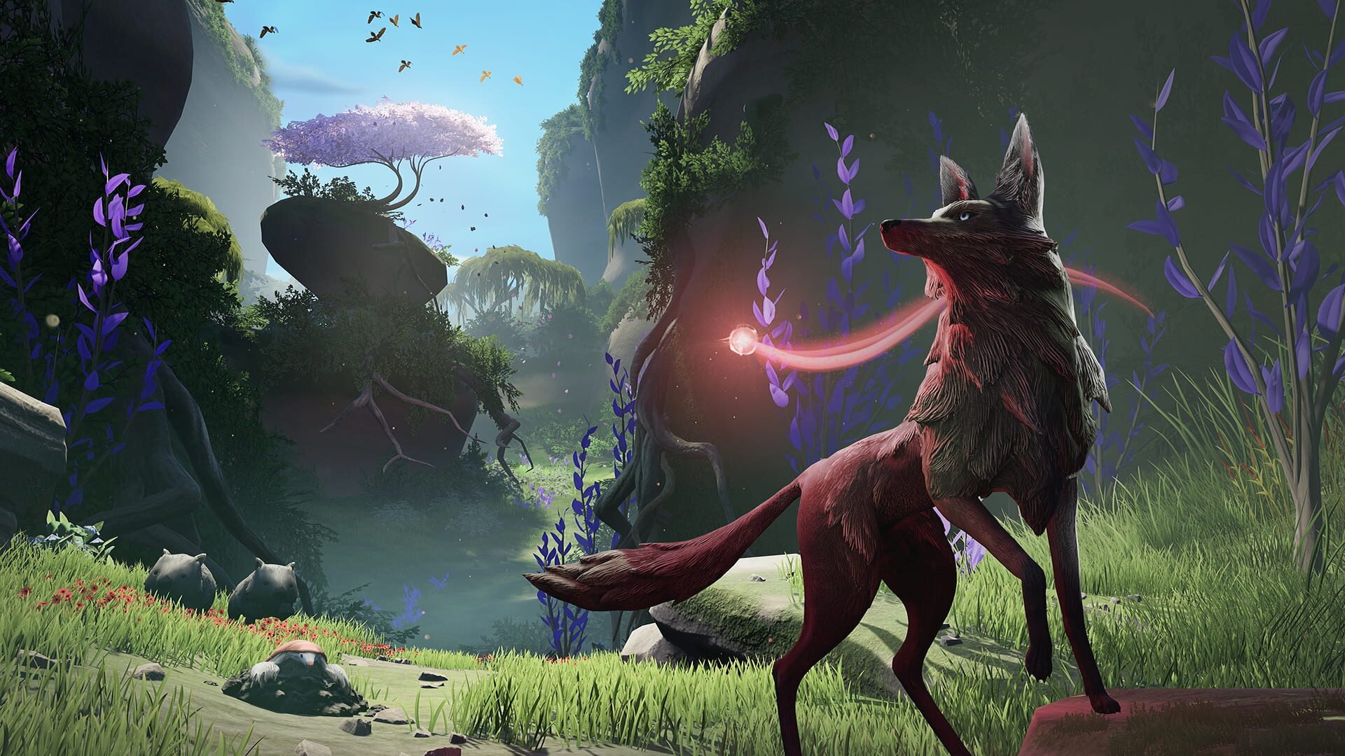 Screenshot 13