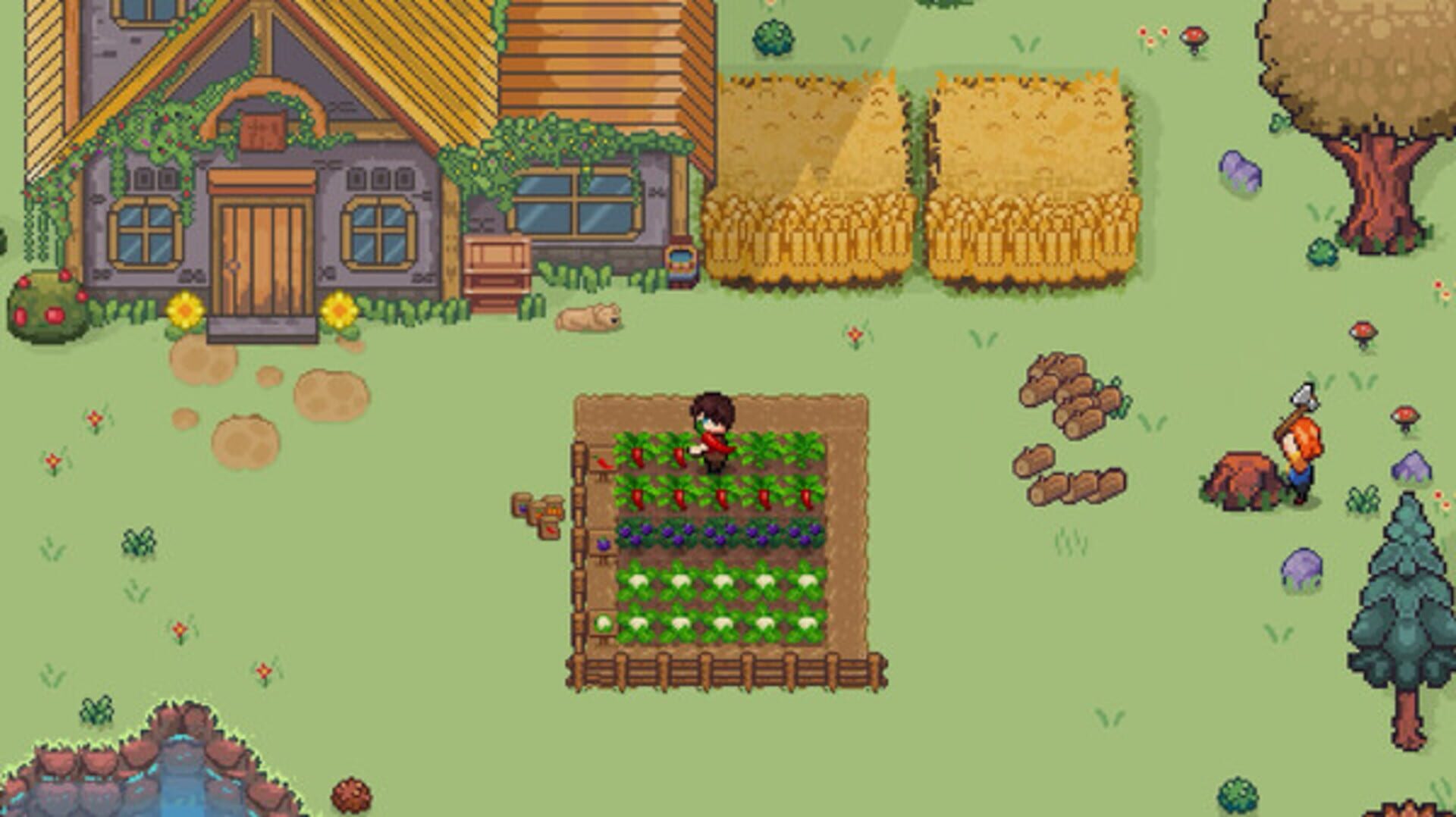 Screenshot 13