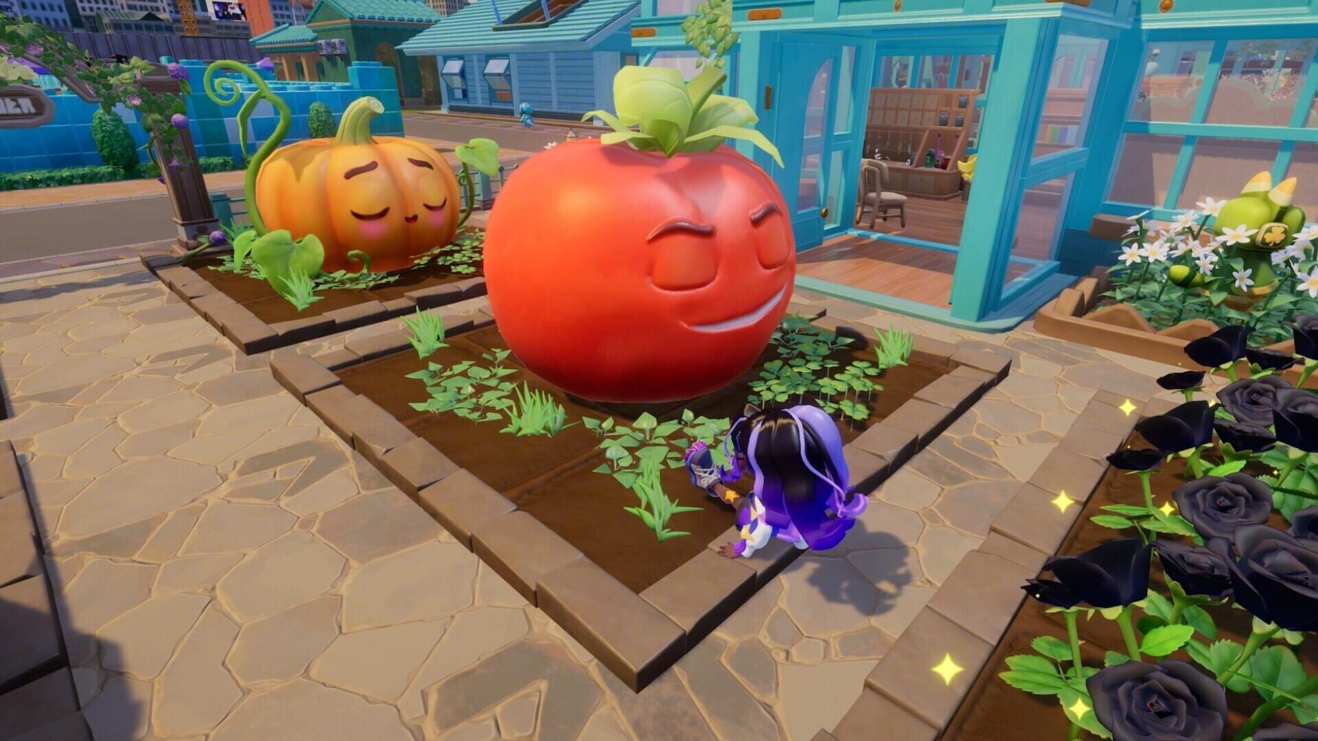 Screenshot 12