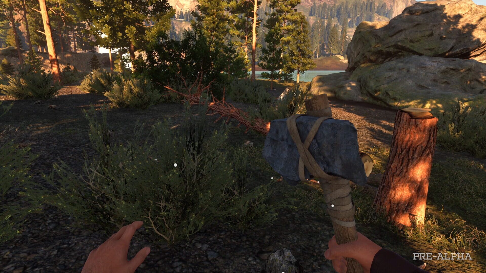 Screenshot 20